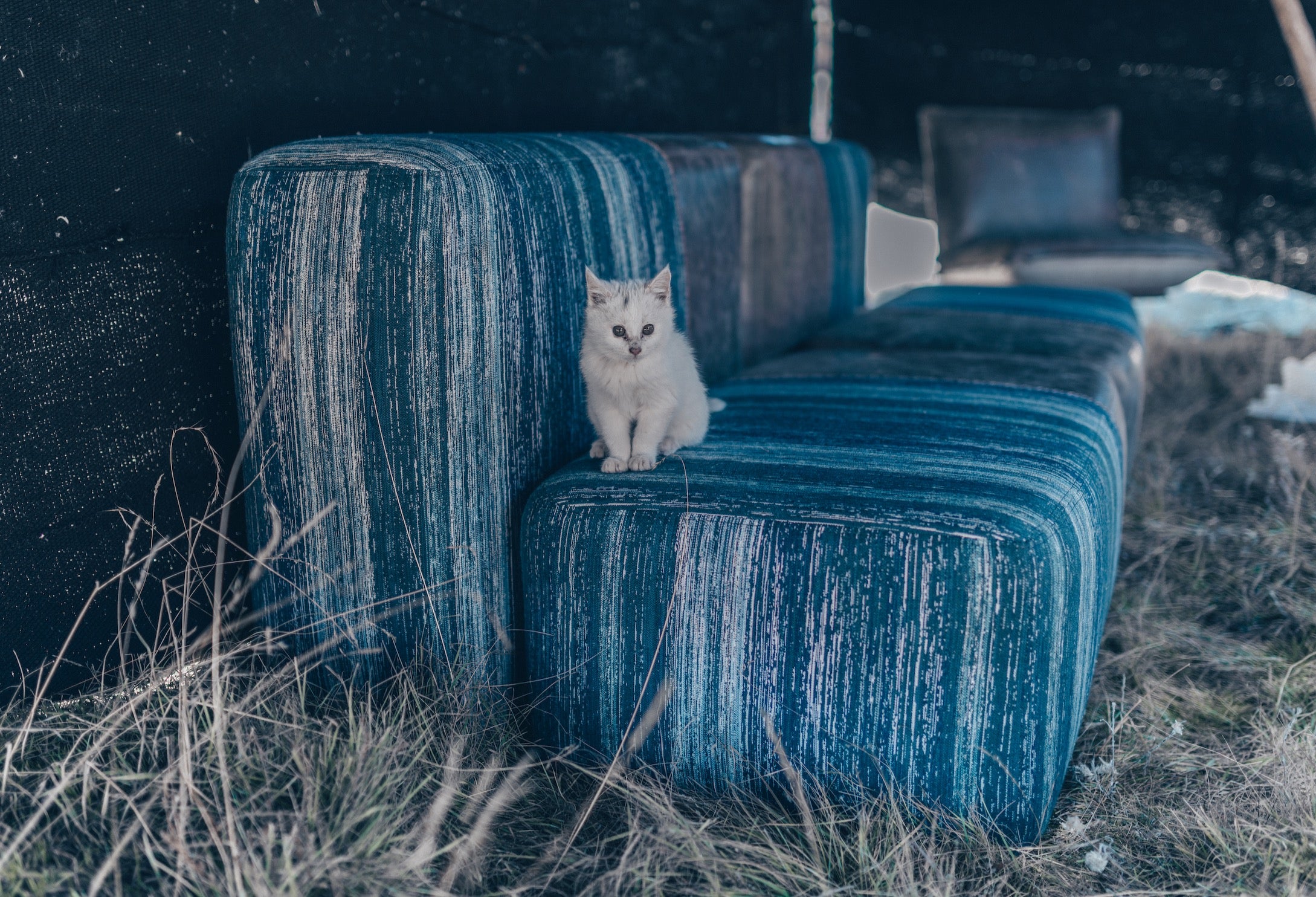 KVN Design Nomad Single Cube in Yak Leather with Sunbrella Fabric Nomadic Series Collection